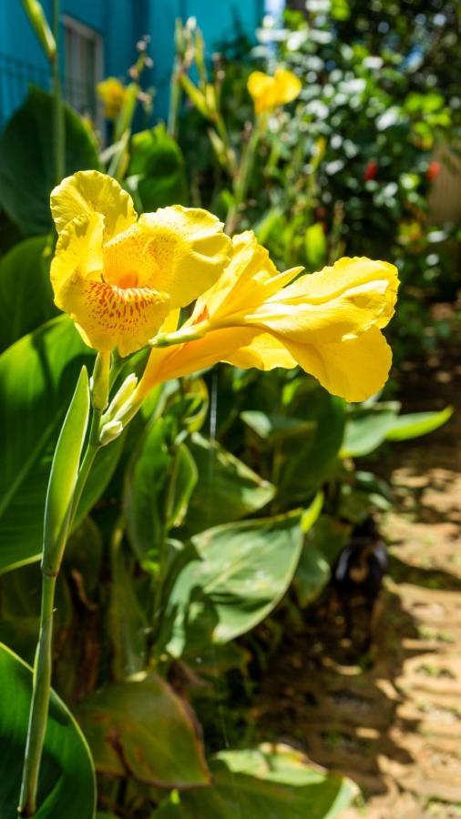 Pousada Flor Do Atlantico เฟอร์นันโด เด โนรอนญา ภายนอก รูปภาพ