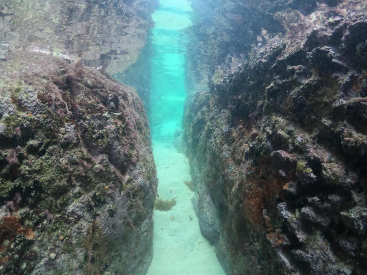 Pousada Flor Do Atlantico เฟอร์นันโด เด โนรอนญา ภายนอก รูปภาพ